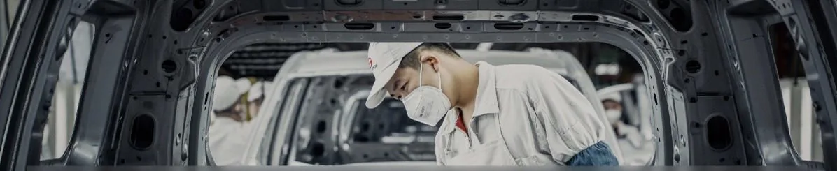 Structura investițională: un producător auto integrat